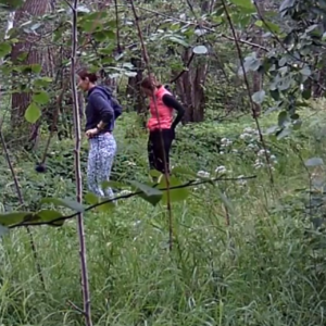 Lots of pissing along the pee trail