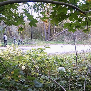 Activity around the parking lot