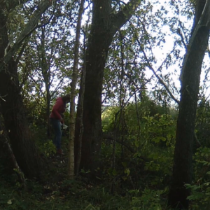 Ladies hiding behind the trees