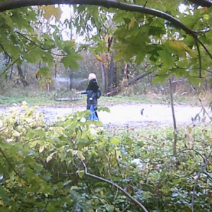 Another cool and rainy day
