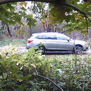 Several cars in the lot today