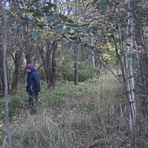 A few visitors to the trails