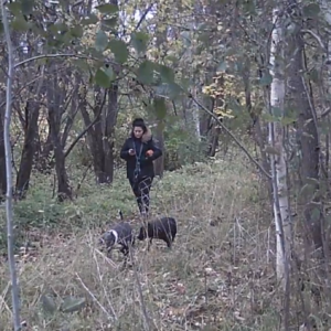Average fall day on the pee trail