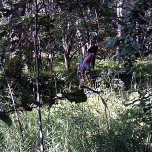 Nice weather bring out the visitors to the trails