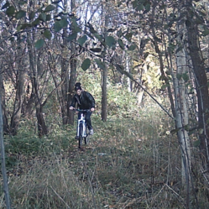A day for the bikers