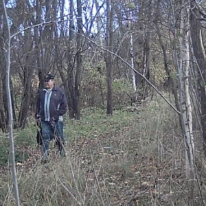 Creeping around the trail and lot