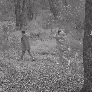 Teens in the woods and a few bathroom breaks