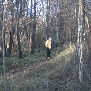 Daily visitors to the trail