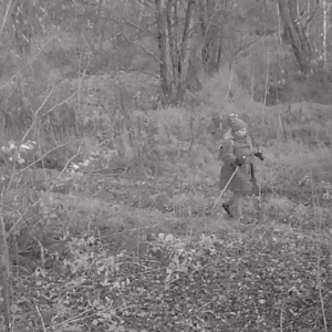 Hikers and explorers out to enjoy the day