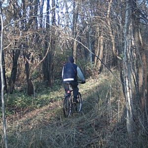 More explorers and lurkers along the trail