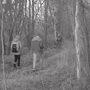 Men out along the trail