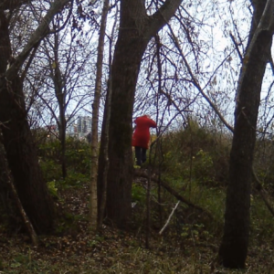 Older ladies at the trail
