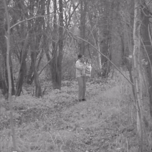 Action on the pee trail and birdhouse