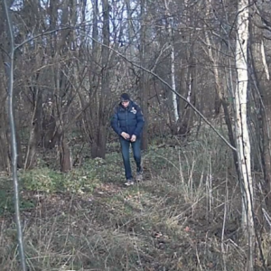 Men at the trail and a leaf picker