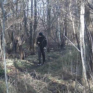 A mix of action from our cameras