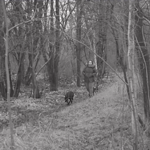 A couple men and dog walkers