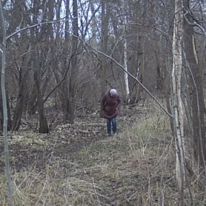 Several women captured around the area