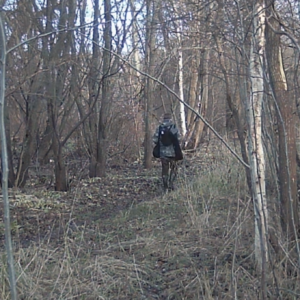 Explorers and men in the woods