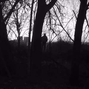 A creeper down the trail