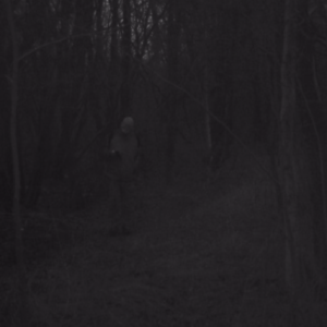 Man visiting before dawn