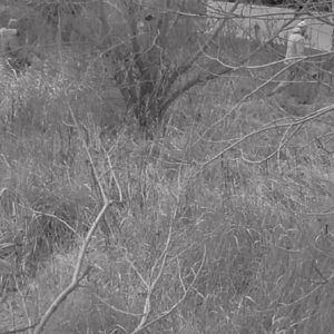 Many hikers out exploring the trails