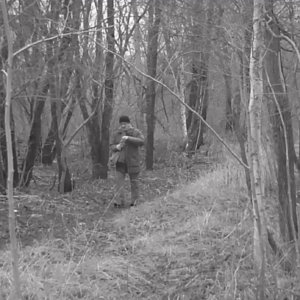 Creeping around the area