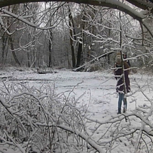 Winter wonderland