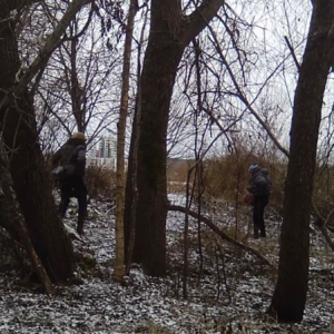 Some very clear shots today