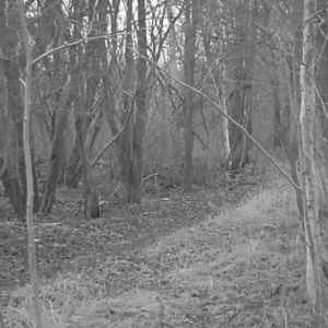 Women at the pee trail