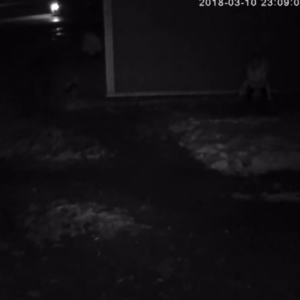 Drunk lady couldn’t even walk