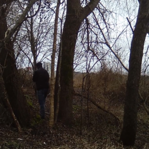 Men on the trail