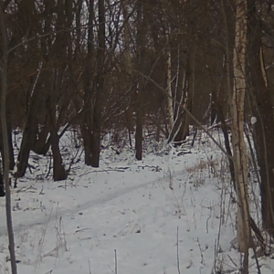 A couple and a lady at the trail