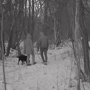 Another casual day along the trail
