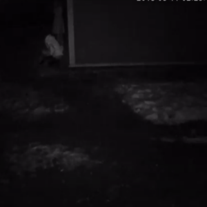 Double checking it was clear first