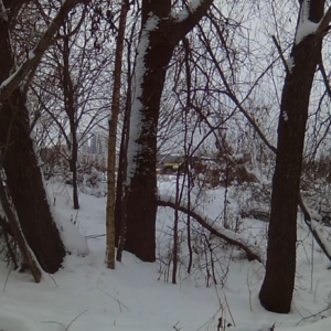 Getting plowed on the trail