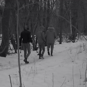 Metal detecting in the snow