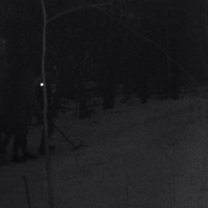Late night metal detecting