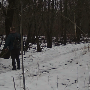 Melting snow along the trail