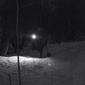 More late night activity