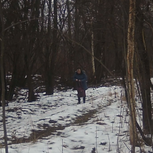 Various activity around the trails
