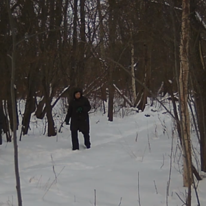 Breaking in the trail