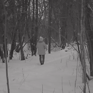 Visitors along the trail