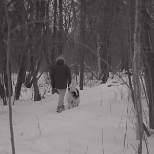A few men and one big dog