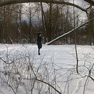 Various visitors around the trails