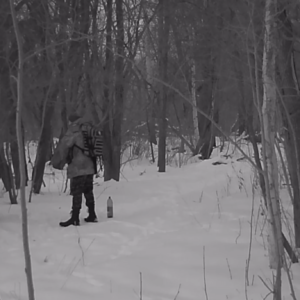 Hiding behind a tree and a man in camo