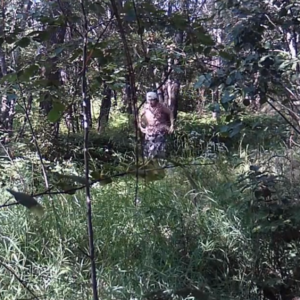 Close up visitors peeing