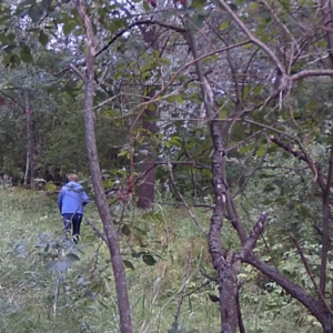 Deeper down the pee trail