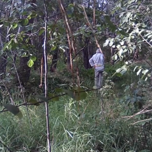 Looking for a good place to go pee