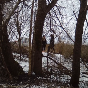 More activity around the trails
