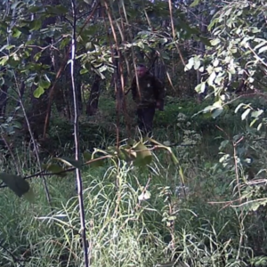 Many hikers on the trail